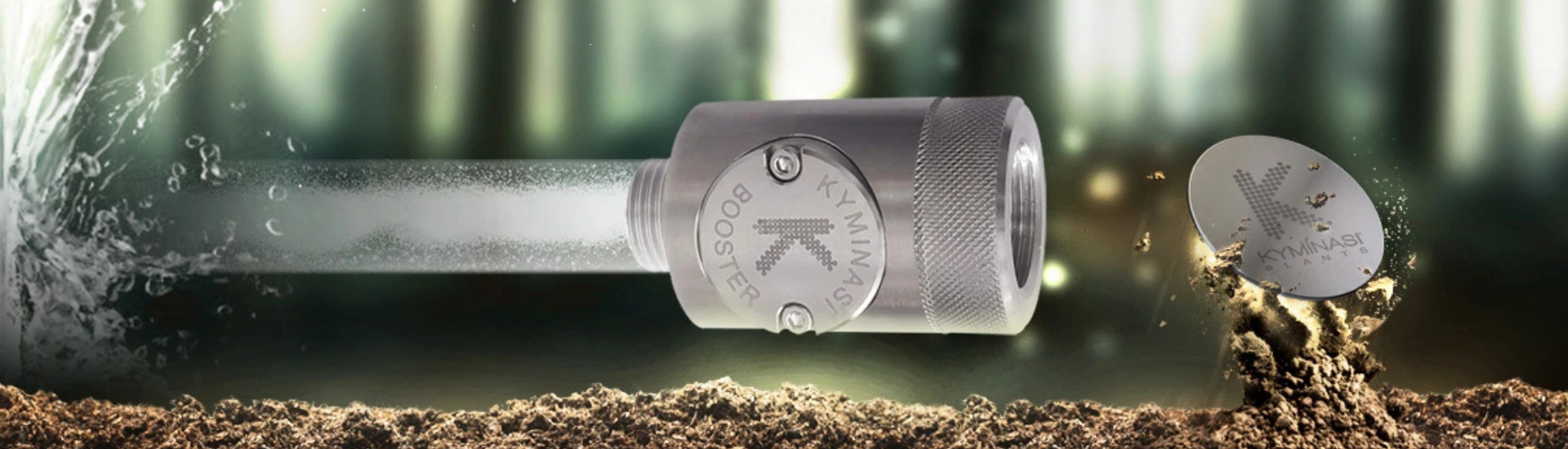 fokus - kyminasi plants